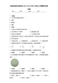 河南省洛阳市偃师市2021-2022学年七年级上学期期中生物试题（word版 含答案）