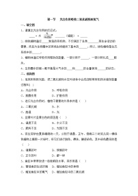 初中生物鲁科版 (五四制)六年级下册第一节 光合作用吸收二氧化碳释放氧气精品达标测试