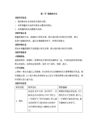 初中生物鲁科版 (五四制)六年级下册第二节 植株的生长一等奖教案设计
