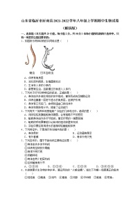 山东省临沂市沂南县2021-2022学年八年级上学期期中生物试卷（word版 含答案）