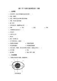 初中生物鲁科版 (五四制)八年级下册第三节 鸟的生殖和发育优秀同步达标检测题