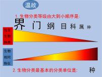 鲁科版 (五四制)八年级下册第一节 认识生物的多样性优质课件ppt
