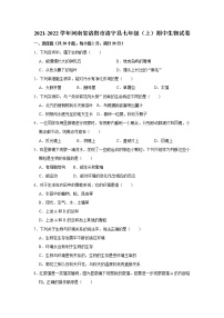 2021-2022学年河南省洛阳市洛宁县七年级上学期期中生物试题（word版 含答案）