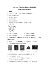 2021-2022学年人教版初中生物八年级上册期末基础知识模拟试题（二）（word版 无答案）