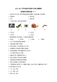 2021-2022学年人教版初中生物八年级上册期末基础知识模拟试题（一）（word版 含答案）