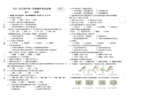 甘肃省张掖市临泽县2021-2022学年七年级上学期期中考试生物试题（word版 无答案）