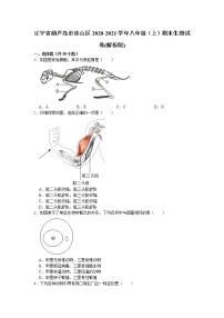 辽宁省葫芦岛市连山区2020-2021学年八年级上学期期末生物试题（word版 含答案）