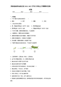 河南省南阳市南召县2021-2022学年八年级上学期期中生物试题（word版 含答案）