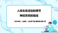 2021学年第二节 神经系统的组成公开课ppt课件