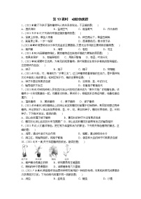 13动植物类群-2022年中考生物一轮复习微专题考点过关带答案