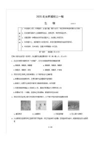 2020年北京市西城区初三一模生物试卷及答案