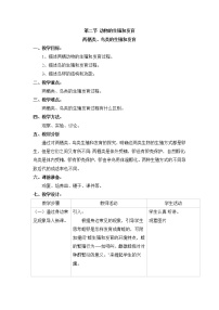 初中生物冀教版八年级下册第二节  动物的生殖和发育优质第二课时教案