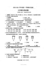 江苏省徐州市2018-2021近四年市区七年级上学期期末考试生物真题