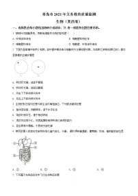 精品解析:2021年山东省青岛市莱西中考一模生物试题(解析版+原卷版)