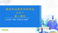 2020-2021学年第五章 人体内废物的排出教课内容ppt课件