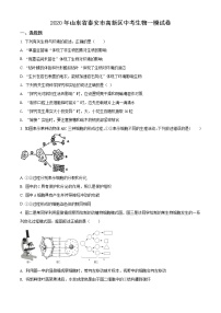 精品解析：2020年山东省泰安市高新区九年级中考一模生物试题（解析版+原卷版）