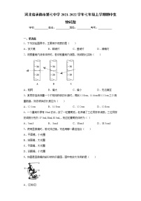 河北省承德市第七中学2021-2022学年七年级上学期期中生物试题（word版 含答案）