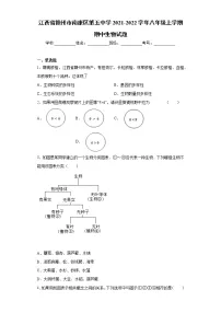 江西省赣州市南康区第五中学2021-2022学年八年级上学期期中生物试题（word版 含答案）