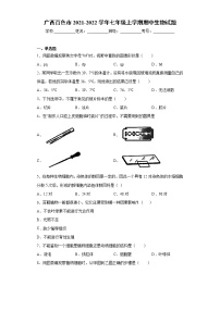 广西百色市2021-2022学年七年级上学期期中生物试题（word版 含答案）