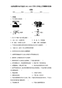 山西省晋中市平遥县2021-2022学年七年级上学期期中生物试题(word版 含答案)