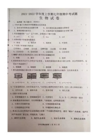 黑龙江省哈尔滨市巴彦县第一中学2021-2022学年七年级上学期期中考试生物【试卷+答案】（图片版）