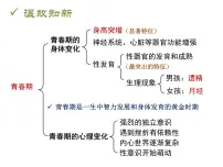 初中生物人教版 (新课标)七年级下册第一节 食物中的营养物质完整版ppt课件