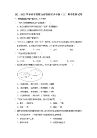 辽宁省鞍山市铁西区2021-2022学年上学期八年级期中生物试卷（Word版含答案）