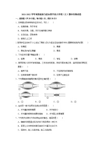 河南省驻马店市西平县2021-2022学年八年级上学期期中生物试题（Word版含答案）