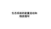 北师大版八年级下册第3节 生态系统的结构和功能优秀课件ppt