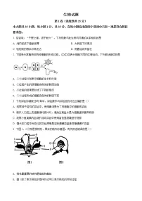 精品解析：2021年山东省青岛市崂山区中考一模生物试题（解析版+原卷版）