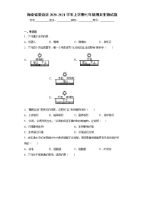 海南省澄迈县2020-2021学年上学期七年级期末生物试题（word版 含答案）