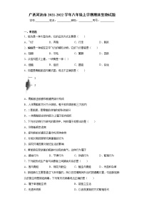 广西河池市2021-2022学年八年级上学期期末生物试题（word版 含答案）