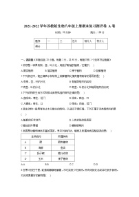 2021-2022学年苏教版生物八年级上册期末复习测评卷 A卷（word版 含答案）