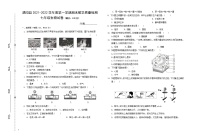 安徽省亳州市涡阳县2021-2022学年七年级上学期期末教学质量检查生物试题（word版 含答案）