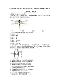 山东省淄博市周村区2020-2021学年八年级上学期期末生物试卷（word版 含答案）