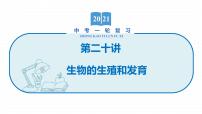 2022届初中生物一轮复习 第二十讲 生物的生殖和发育 课件