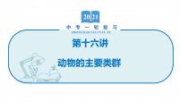 2022届初中生物一轮复习 第十六讲 动物的主要类群 课件