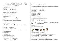 甘肃省武威市凉州区2021-2022学年九年级上学期期末考试生物试题（word版 含答案）