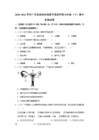 2020-2021学年广东省深圳市福景外国语学校七年级（下）期中生物试卷（含答案）