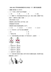 2020-2021学年河南省焦作市七年级（下）期中生物试卷（含答案）