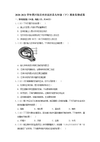 2020-2021学年四川省达州市宣汉县七年级（下）期末生物试卷（含答案）