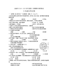 2019-2020学年安徽省宣城市下学期期末调研测试七年级生物学试题（含答案）