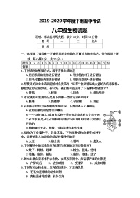 2019-2020学年河南省周口市扶沟江南实验学校八年级下学期期中考试生物试卷（含答案）