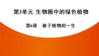 2021年中考广东专用生物一轮知识点复习第3单元 第6章　被子植物的一生 课件