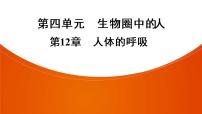 2021年中考广东专用生物一轮知识点复习第4单元 第12章　人体的呼吸   课件