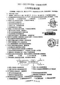 江苏省徐州市2021-2022学年八年级上学期期末生物试卷（无答案）