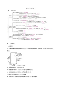 人教版 (新课标)八年级下册第二章 生物的遗传和变异综合与测试学案及答案