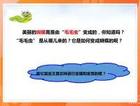 生物第二节 昆虫的生殖和发育图文ppt课件