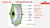 人教版 (新课标)七年级上册第二单元 生物体的结构层次第一章 细胞是生命活动的基本单位第三节 动物细胞课堂教学课件ppt
