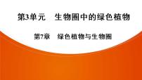 2021年中考广东专用生物知识点梳理复习第3单元 第7章　绿色植物与生物圈  课件